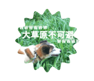 854785174