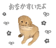 854785565
