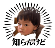 854785778