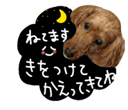 854786648