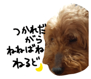 854786650