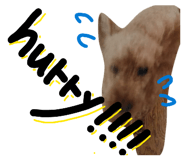 854786653