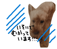 854786654