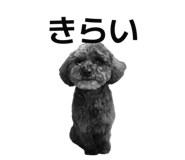 854787741