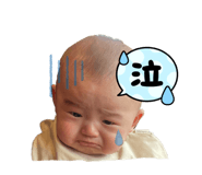 854788541