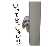 854788985