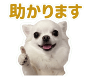 854789296