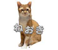 854789586