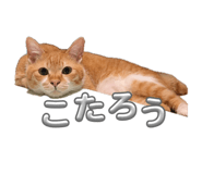854789588