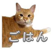 854789589