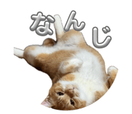 854789590