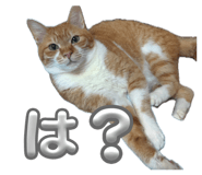 854789591