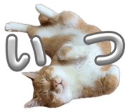 854789592