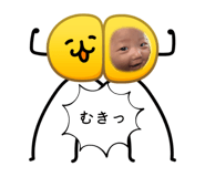 854790354