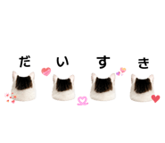 854790762