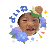 854790955