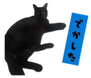 854791320