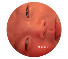 854791371