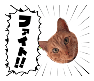 854791715