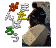 854793368