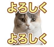 854794635