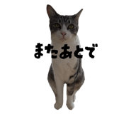 854795846