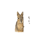 854795930