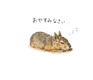 854795947