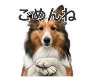 854797437