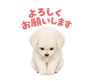 854797718