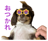 854799172