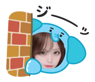 854800043