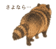 854800786