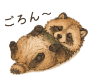 854800794