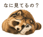 854800797