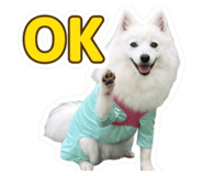 854800841