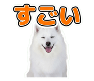 854800849