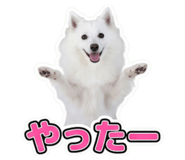 854800851