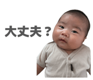 854800912