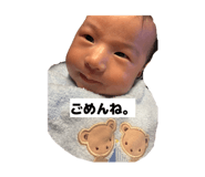 854800950
