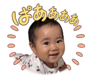 854801062
