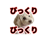 854801083