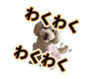 854801084