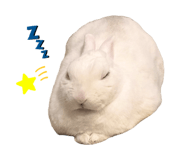 854801242