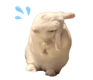854801243