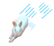 854801253