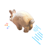 854801254