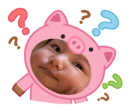 854801355