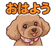 854801425