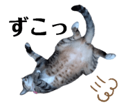 854801454